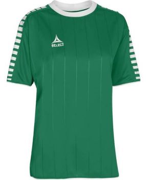 Select Damen Handball Trikot Argentina grün-weiß